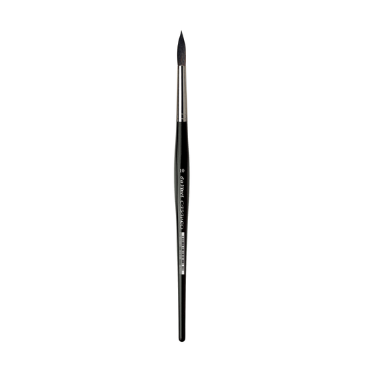 da Vinci 5598 Casaneo