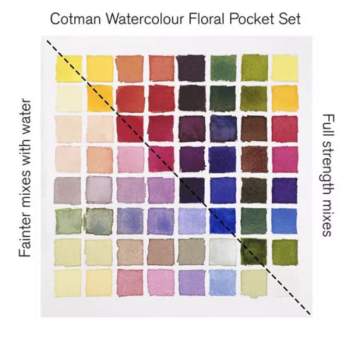 Winsor & Newton Cotman Virágok akvarellfesték készlet, 8x1/2 szilke, ecsettel