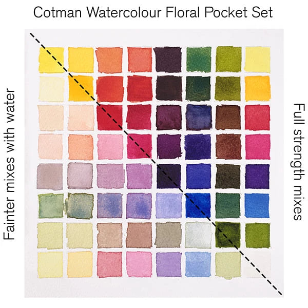 Winsor & Newton Cotman Floral akvarellfesték készlet, 8x1/2 szilke, ecsettel
