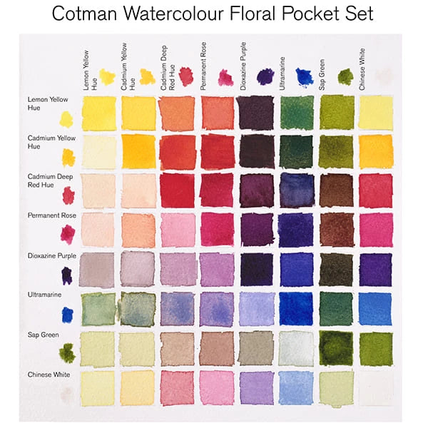 Winsor & Newton Cotman Floral akvarellfesték készlet, 8x1/2 szilke, ecsettel
